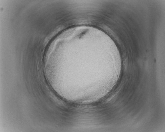 X0000071770721200607282212