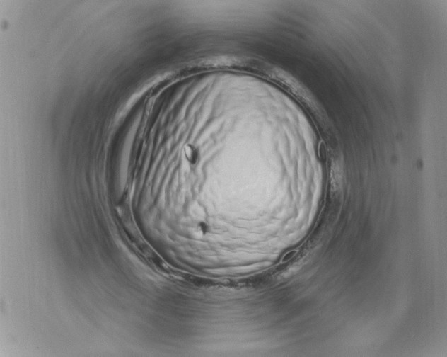 X0000071770722200607282212