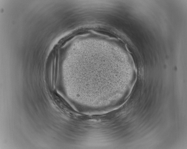 X0000071770724200607282212