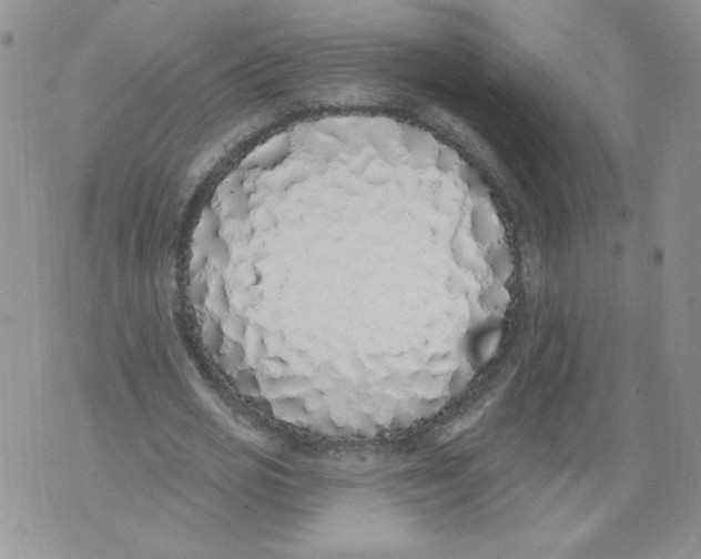 X0000071770725200607282212