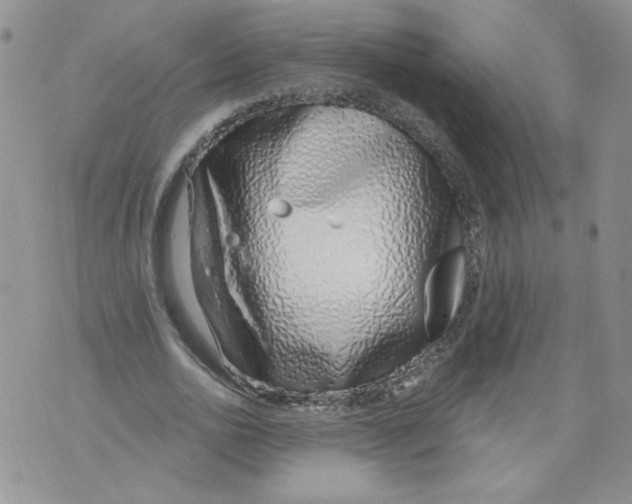 X0000071770726200607282212