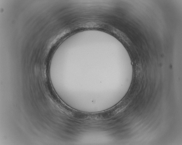 X0000071770727200607282212