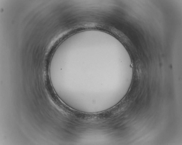 X0000071770728200607282212