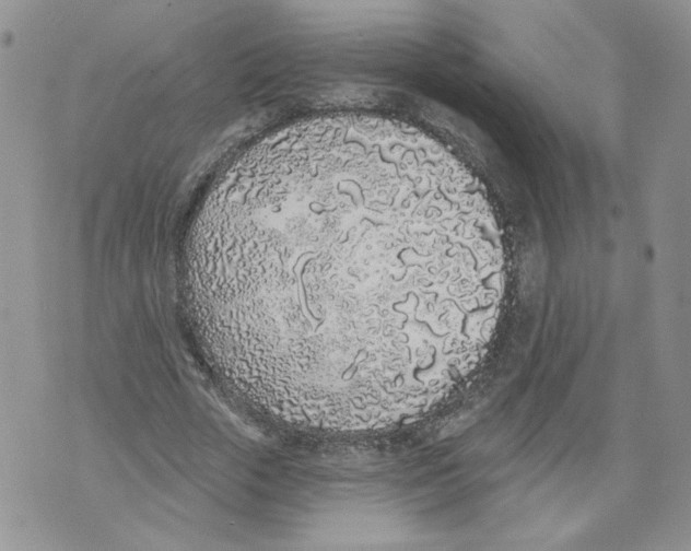 X0000071770729200607282212