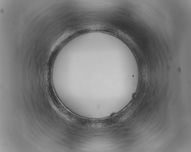 X0000071770730200607282212