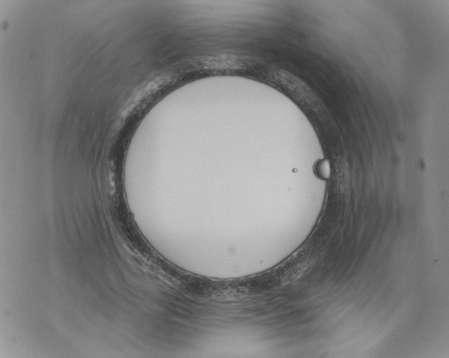 X0000071770731200607282212