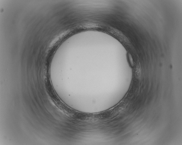 X0000071770732200607282212