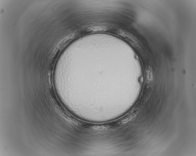 X0000071770733200607282212