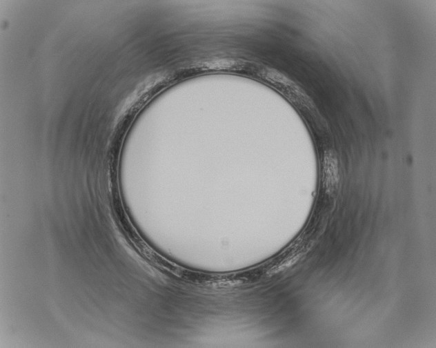 X0000071770734200607282212