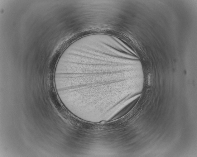 X0000071770736200607282212