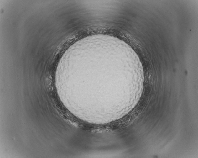 X0000071770737200607282212