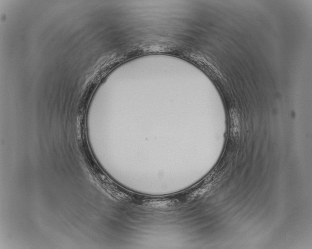 X0000071770738200607282212