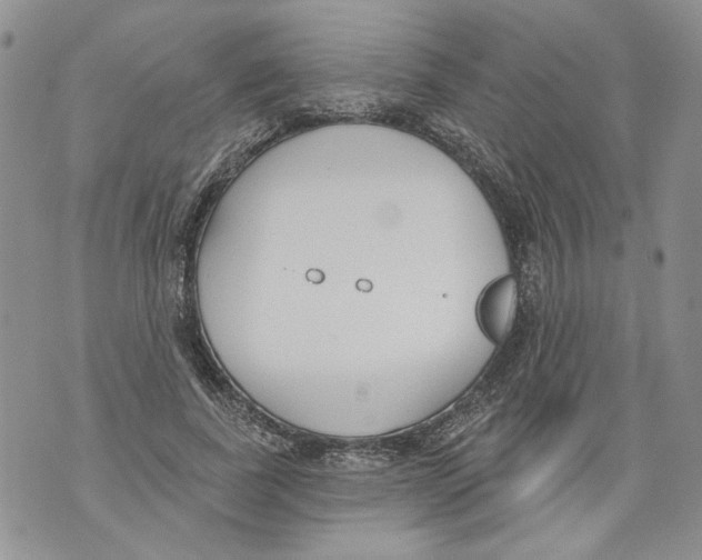 X0000071770739200607282212