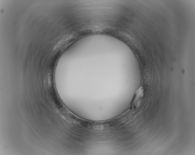 X0000071770740200607282212