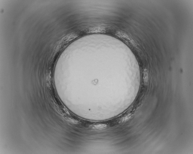 X0000071770741200607282212