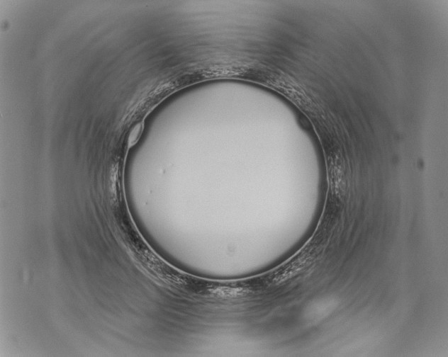 X0000071770742200607282212