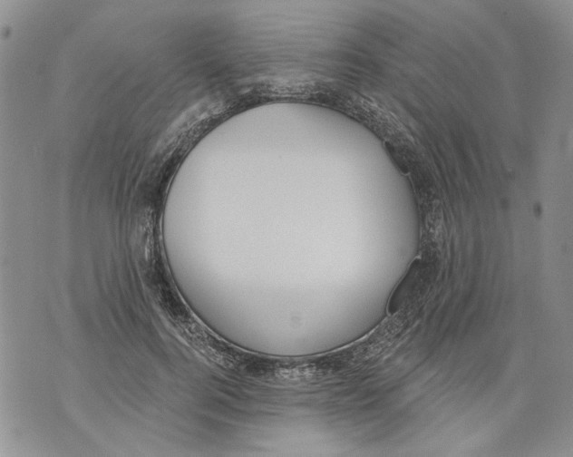 X0000071770744200607282213