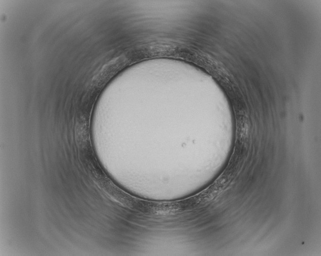 X0000071770745200607282213