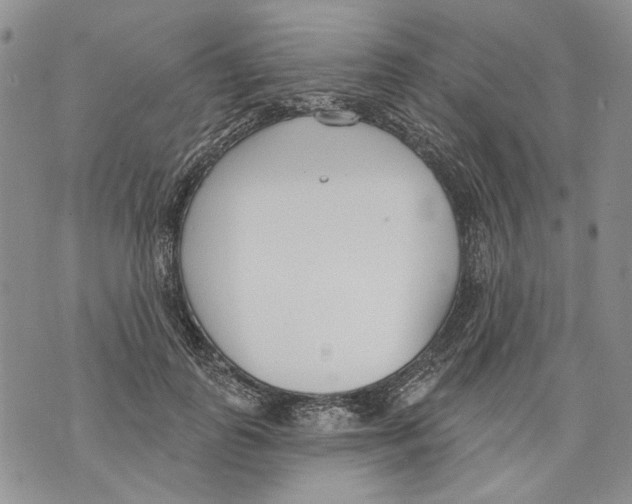 X0000071770747200607282213