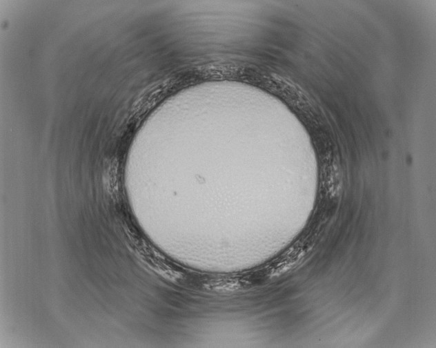 X0000071770749200607282213