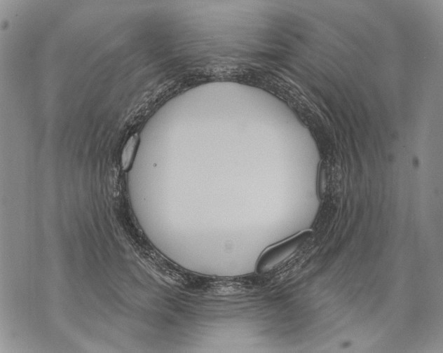 X0000071770750200607282213