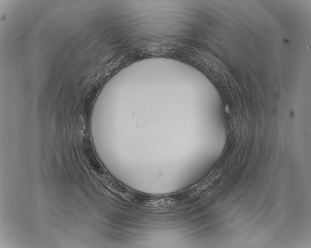 X0000071770752200607282213