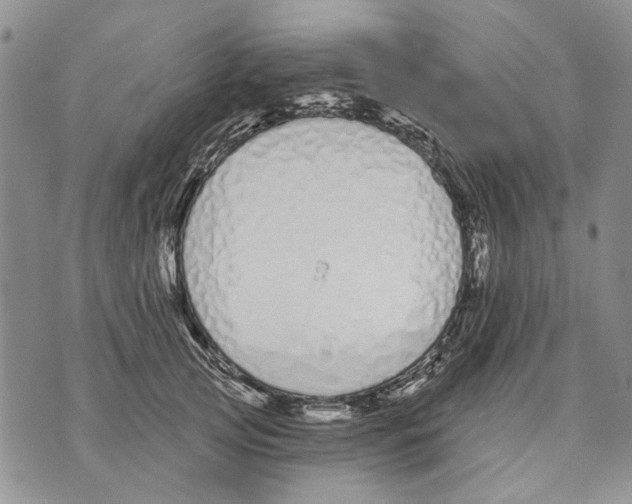 X0000071770753200607282213