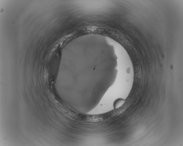 X0000071770754200607282213