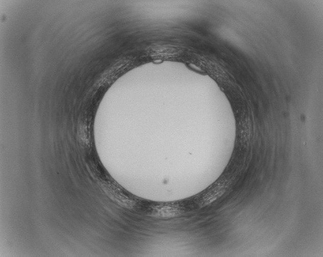 X0000071770755200607282213