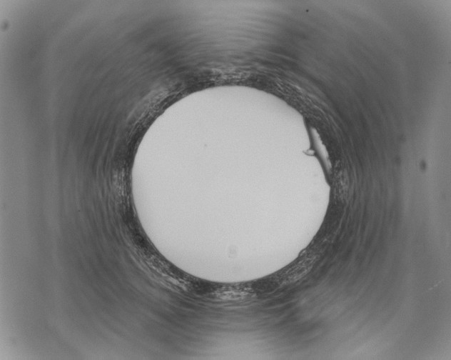 X0000071770756200607282213