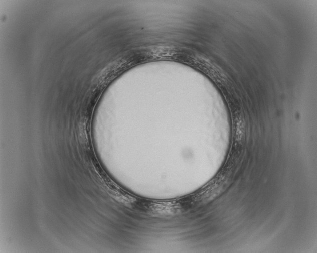 X0000071770757200607282213