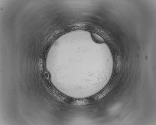 X0000071770758200607282213