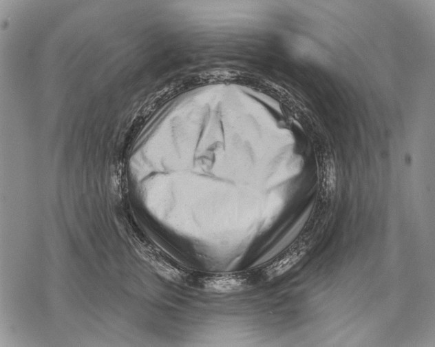 X0000071770759200607282213