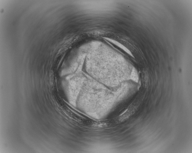 X0000071770760200607282213