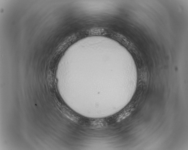 X0000071770761200607282213