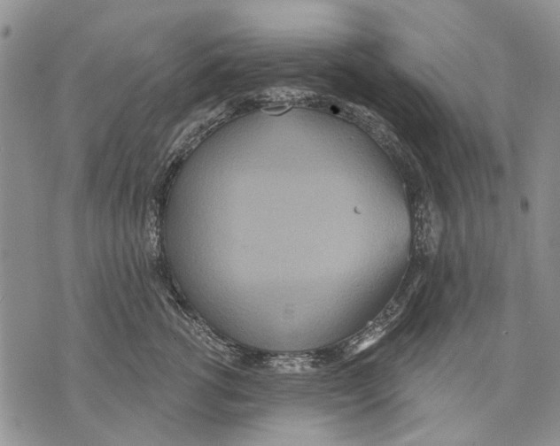 X0000071770762200607282213