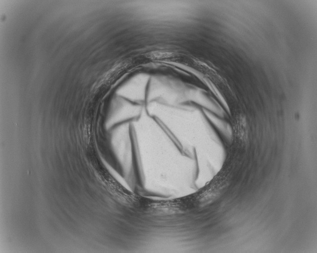 X0000071770763200607282213