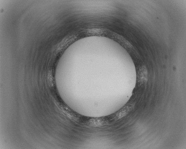 X0000071770764200607282213