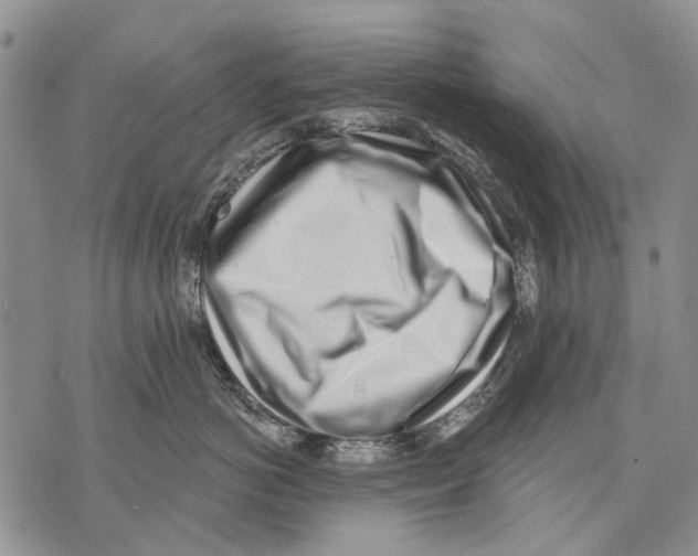 X0000071770766200607282213