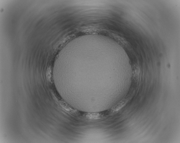 X0000071770767200607282213