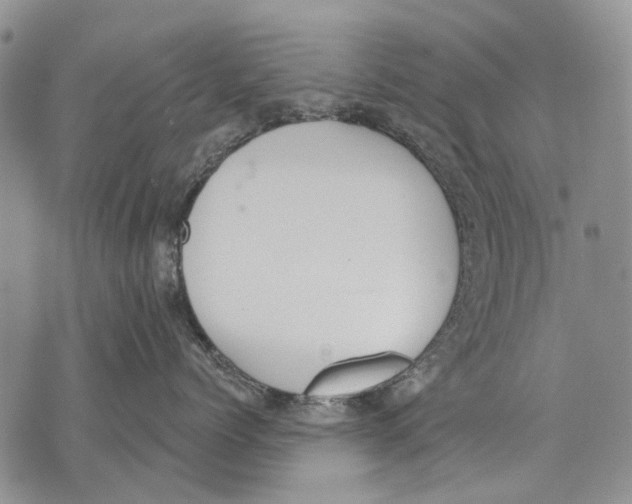 X0000071770768200607282213