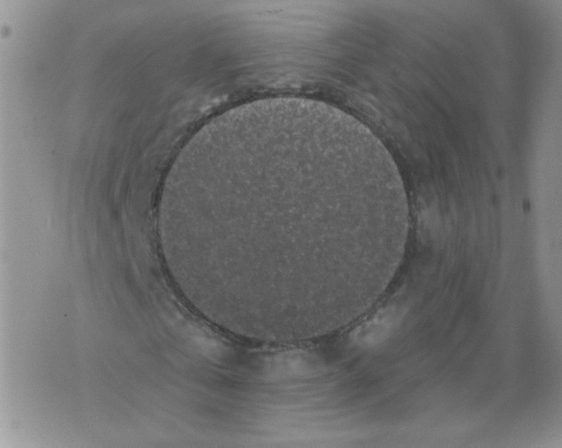 X0000071770769200607282212