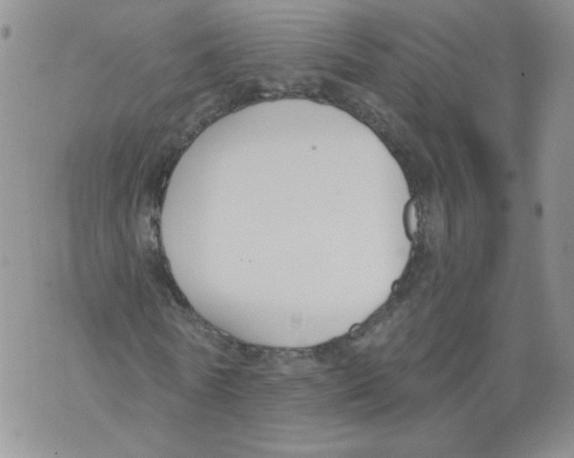 X0000071770770200607282212