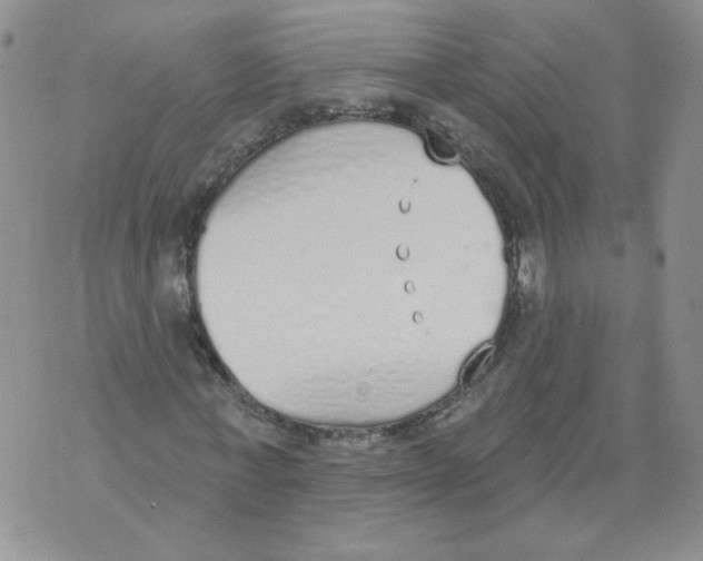 X0000071770771200607282212