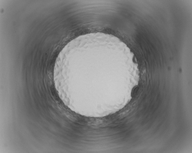 X0000071770772200607282212