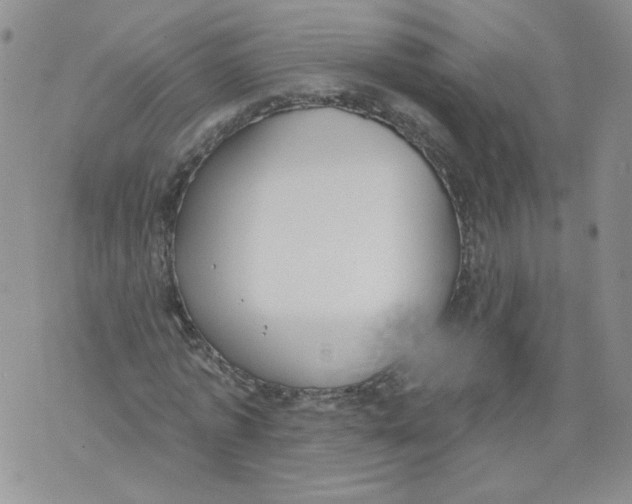 X0000071770773200607282212