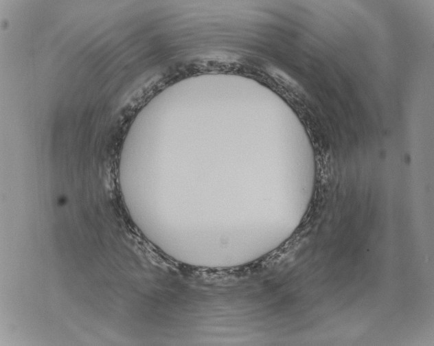 X0000071770774200607282212