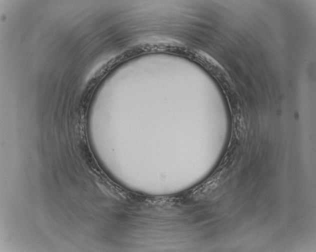 X0000071770775200607282212