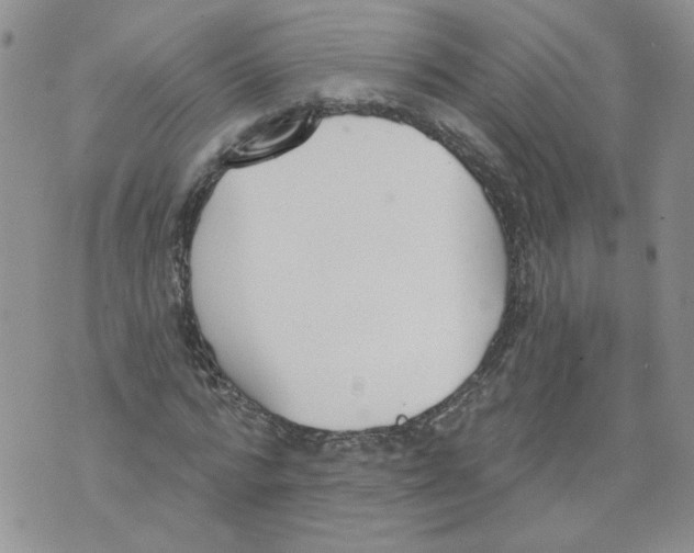 X0000071770776200607282212