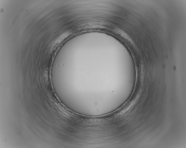 X0000071770777200607282212